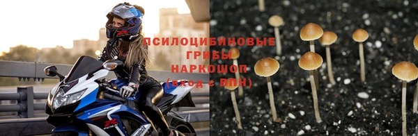 прущие грибы Семёнов