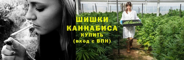 шишки Армянск
