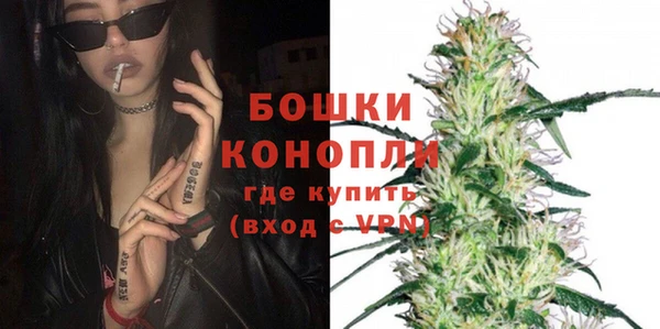 шишки Армянск