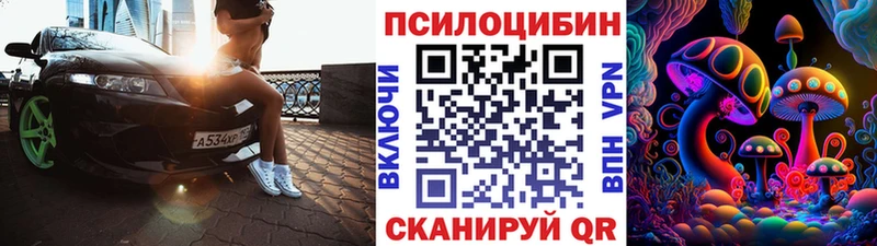 магазин    Лебедянь  Галлюциногенные грибы Psilocybe 